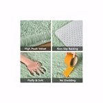 Green Plush Rug