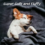 Pet Blanket For Couch