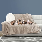 Pet Blanket For Couch