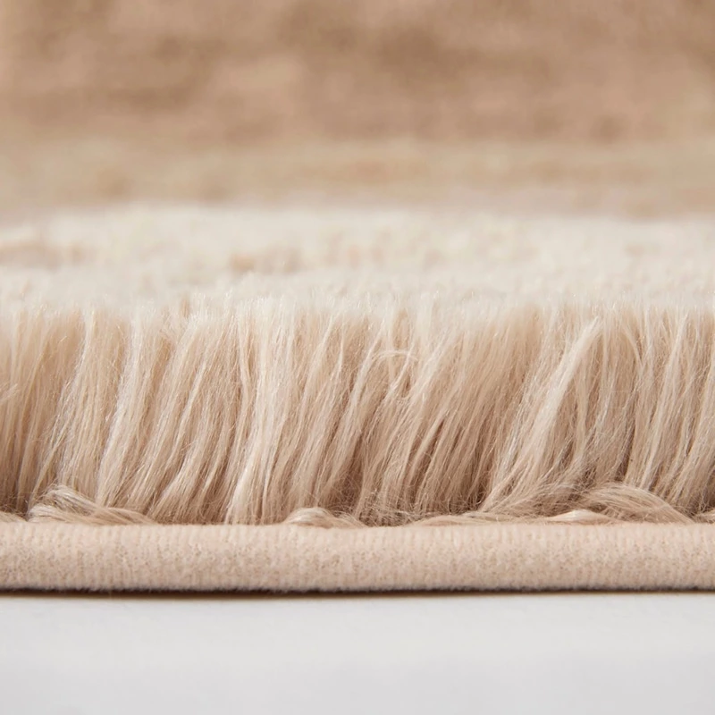 Shaggy Living Room Rug