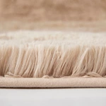 Shaggy Living Room Rug
