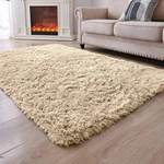 Shaggy Living Room Rug