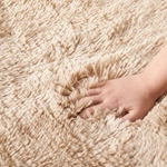 Shaggy Living Room Rug