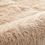 Shaggy Living Room Rug