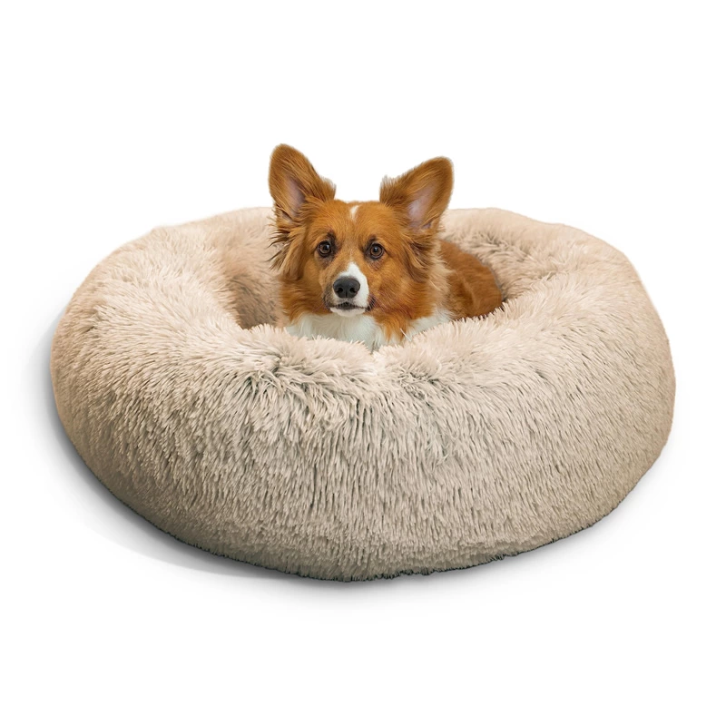 Pet Blanket