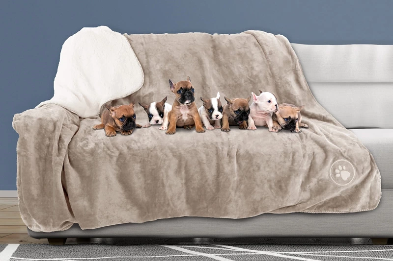 Pet Blanket