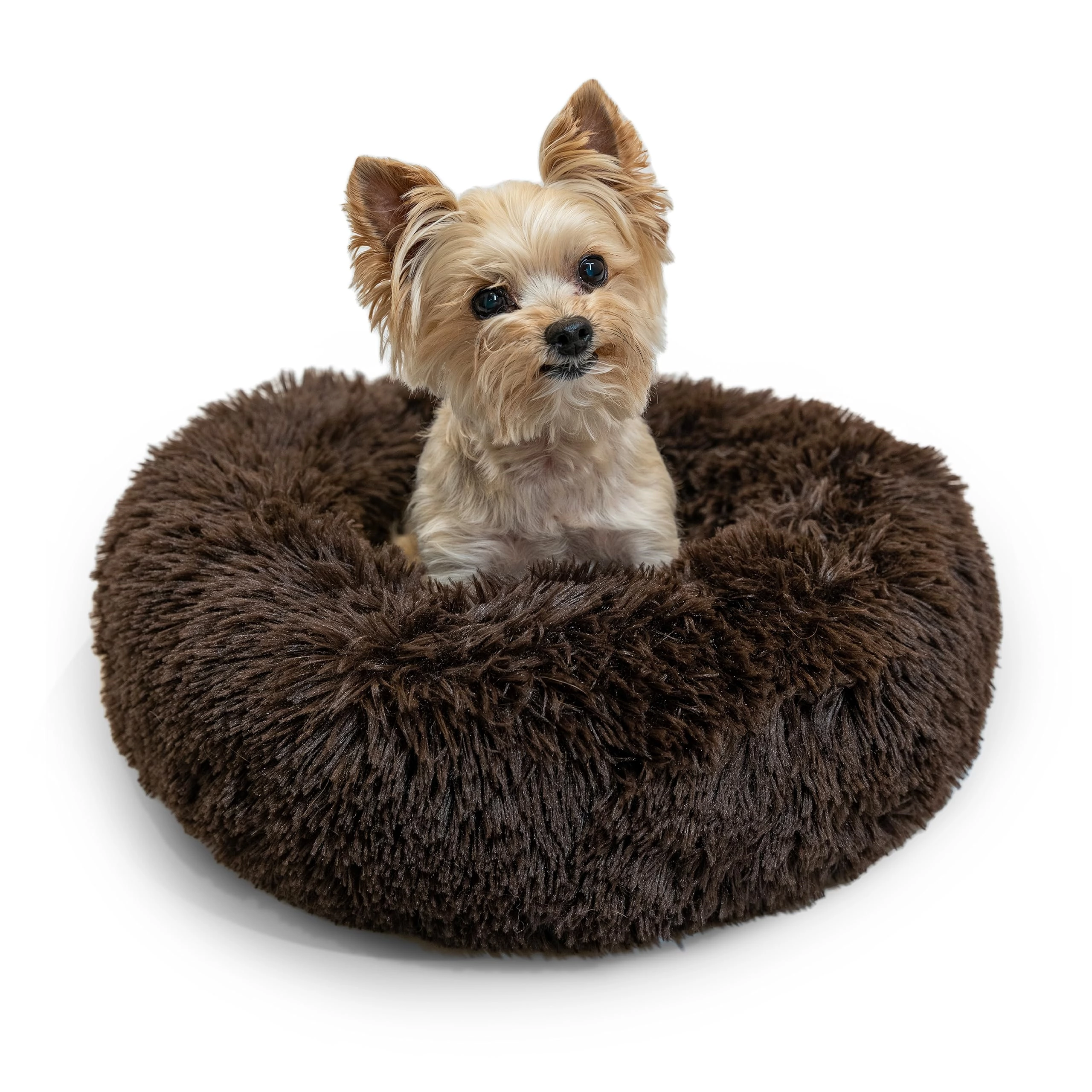 Pet Bed